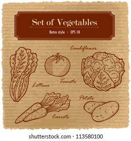 A large set of fresh vegetables. Easily editable vector. Various vegetables on the grange retro background. Isolated vector.  For menu. Hand drawing, retro. Healthy food. Label.