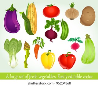 A large set of fresh vegetables. Easily editable vector