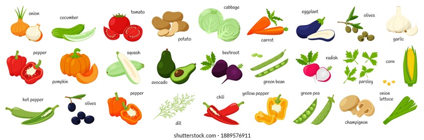 A large set of fresh vegetables, olives, corn, greens. Whole and half. collection of decorative cliparts for food design, recipes, menus, icons.Flat vector illustration, isolated on a white background