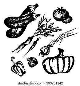 
A large set of fresh vegetables.Easily editable vector. Isolated vector. For menu. Hand drawing, healthy food. Label.