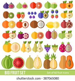 Large Set of fruit and berries in a flat style. Tropical fruits, berries, citrus fruits. Fruit in a cut. Juicy colorful fruit in a flat style.