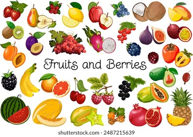 Large set of fruits and berries.Colored vector set of ripe berries and fruits on a transparent background.