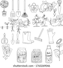 a large set of garden tools, rubber boots, gloves, a watering can, various vegetables. illustration isolated on white background