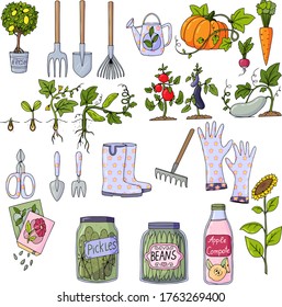 a large set of garden tools, rubber boots, gloves, a watering can, various vegetables. illustration isolated on white background