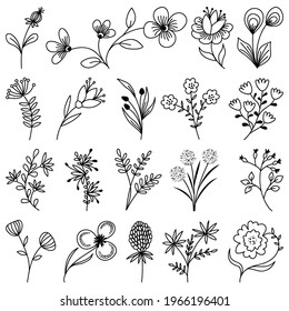 Large set of hand drawn vector floral elements (leaves, flowers, branches). Botanical illustrations. Suitable for wedding invitations, greeting cards, quotes, blogs, frames.