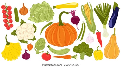 Large set of hand drawn vector illustrations of vegetables on white background. Seasonal healthy food. Farm harvest, organic plants