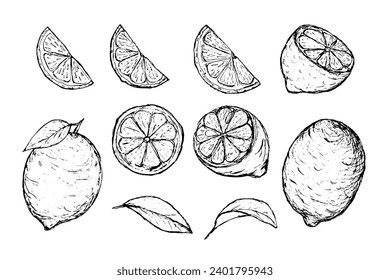 Gran conjunto de limones dibujados a mano. Esbozar la ilustración de productos de cítricos sanos aislados en fondo blanco. Trozo de limón, mitad, fruta entera.