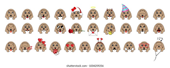 A large set of heads of little dogs with different emotions and different objects.Afghan hound breed. 