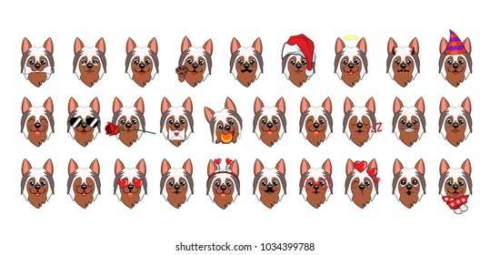 A large set of heads of little dogs with different emotions and different objects. Dog Australian Silky Terrier Cartoon