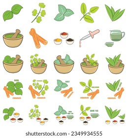 A large set of herbs on a transparent background, isolated objects, popular culinary plants, natural health care, mint and rosemary, basil, thyme, parsley, dill, bay leaf, oregano and sage