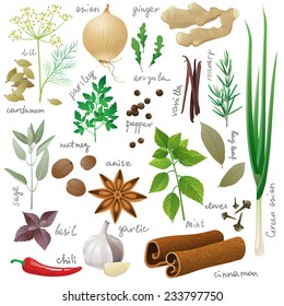 Large set of herbs and spices