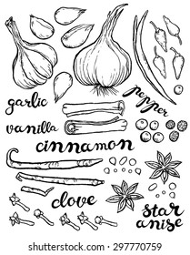large set of herbs and spices - vector hand drawing illustration with exclusive hand written vector lettering