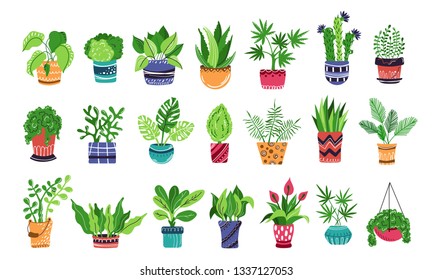 Large set of home plants or flowers in pots, home garden or greenhouse, collection of isolated elements on white. Flat style, Scandinavian. Vector illustration