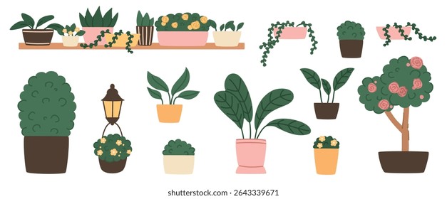 Large set of indoor plants in pots. Flat vector illustration.