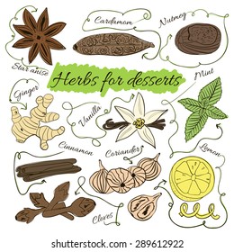 A large set of isolated colorful spices and herbs from the desserts and pastries for design on white background. Vector illustration
