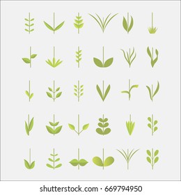 A large set of leaves and flowers branches on a white background. Decorative elements for design.