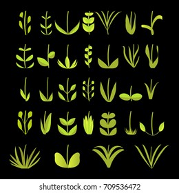 A large set of leaves and flowers branches on a white background. Decorative elements for design. Abstract natural set, vector illustration