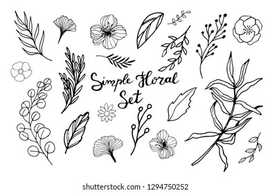 A large set of leaves, flowers, grasses and branches. Ideal for invitations, weddings, postcards, holidays, design of printed products. Vector illustration, background. Universal floral elements.