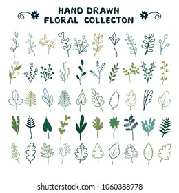 A large set of leaves, grasses and branches. Ideal for invitations, weddings, postcards, holidays, design of printed products. Vector illustration, background. Universal floral elements.