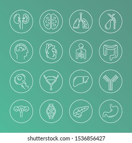 Large set of linear vector icons of human internal organs in circles. Suitable for print, web, and presentations.