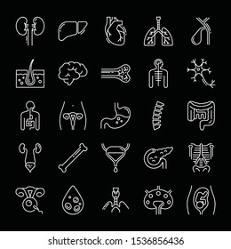 Large set of linear vector icons of human internal organs. Suitable for print, web, and presentations.