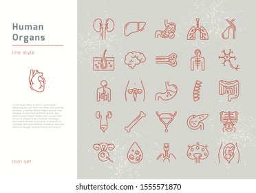 Large set of linear vector icons of human internal organs with signatures. Suitable for print, web and presentations.