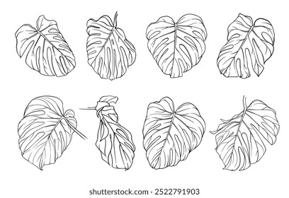 large set of monochrome monstera leaves, close-up of tropical plant leaf in different angles, various exotic jungle elements. hand painted tropical monstera leaves