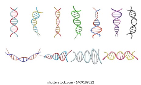 A large set of multi-colored beautiful medical scientific twisted structures of spirals of abstract models of DNA genes on a white background. Vector illustration