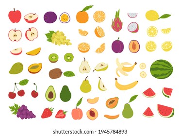 Large set of natural fresh tropical and citrus fruits in hand drawn style. Whole and cut into halves and parts. Vegan, vegetarian food. Organic food and healthy eating. Collection vector illustration