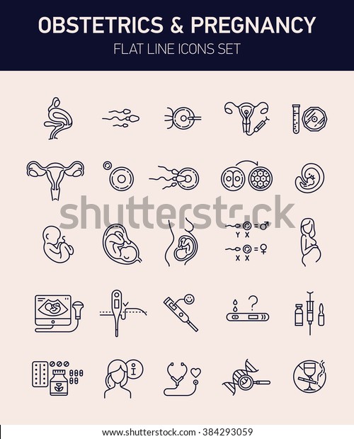 Large Set Obstetrics Pregnancy Flat Line Stock Vector (Royalty Free ...