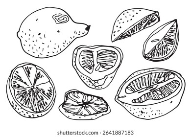 Large set of outline vintage lemons and their halves in sketch style on white background