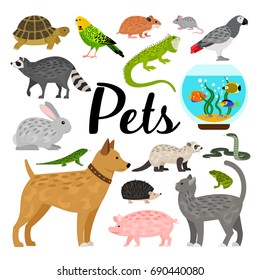  Large set of pets