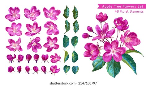 Gran conjunto de flores de manzana rosa. Conjunto de plantas realistas dibujadas a mano en formato vectorial. Rama preparada, flores individuales, hojas y brotes. Fácil de editar y catalogar para su diseño.