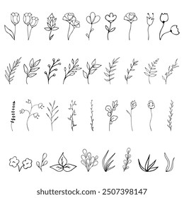 Un Grande conjunto de plantas: flores, ramas, hierba. Siluetas blancas y negras de plantas, flores, ramas. Plantas aisladas sobre un fondo blanco.