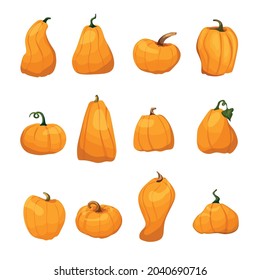 A large set of pumpkins in a cartoon style. Vector element for Halloween, Thanksgiving, Harvest.