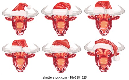 Large set of realistic faces of a bull in a Santa Claus cap isolate on a white background. Vector illustration.