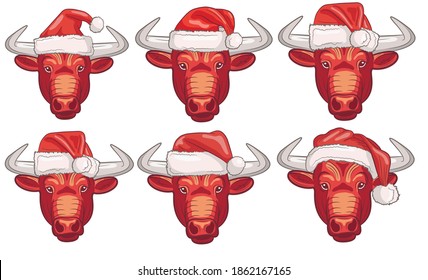 Un gran conjunto de caras realistas de un toro aislado en un tapón de Santa Claus sobre un fondo blanco. Ilustración vectorial.