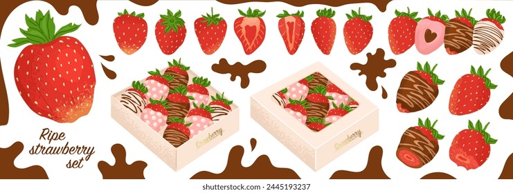 Large set of ripe strawberries. The berry is whole and cut in half, covered with chocolate. A set of berries of different designs in a box. Vector illustration on a transparent background.