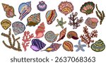 Large set of sea shells. Mediterranean elements, exotic tropical. Textured illustration with sketch elements drawn by hand