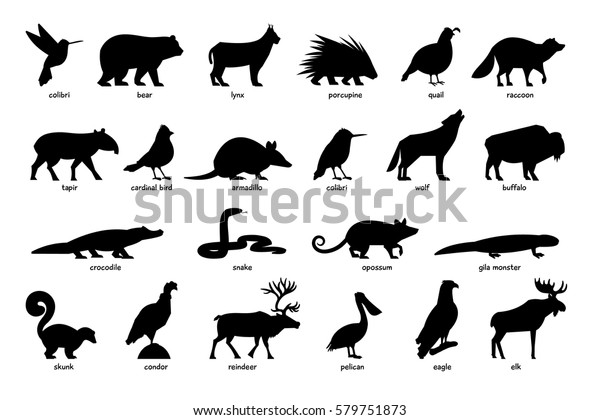 Large Set Silhouettes Animals North America Stock Vector (Royalty Free ...