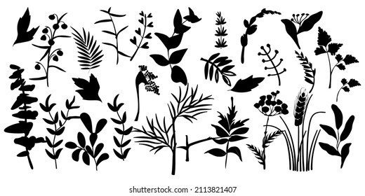 A large set with silhouettes of field herbs, leaves and twigs.Botanical design elements black color isolated on white.Vector template for cards,posters,flyer,sticker,cover,background.
