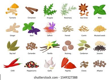 Large set of spices vector illustrations  in flat design isolated on white background. Spices and herbs icons collection.