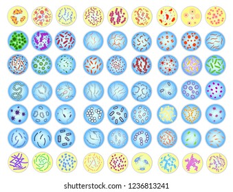 Large set of stylized images of colored bacteria in Petri dish. isolated on white.