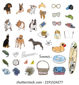 Large set of summer items and animals. Dogs, tropical leaves, exotic flowers, goggles, swim ring, caps, surfboard as a blank for a designer, logo, icon