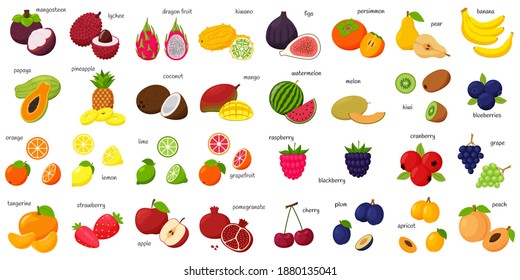 Un gran conjunto de frutas tropicales, exóticas, cítricas con nombres. Iconos de frutas y bayas. Fruta entera, medio corte y rodajas. Enorme colección. Plano. Ilustración del vector de color. Elementos de diseño aislados en blanco