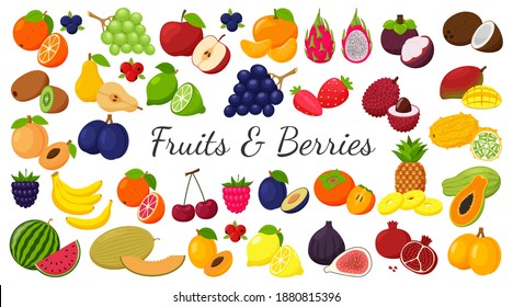 A large set of tropical, exotic, citrus fruits. Fruit and berry icons. Whole fruit, half cut and slices. Huge collection.Flat. Color vector illustration. Design elements isolated on white