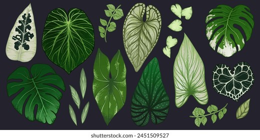 large set of tropical flora, set of leaves for illustration and design, set of cliparts with flora for jungle\tropics\summer design