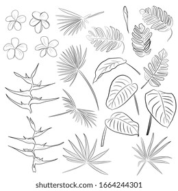 Large set of tropical leaves. Black and white sketch, outline. For design of cards, invitations, banners, print, coloring.Leaf banana, monstera, philodendron, date palm
