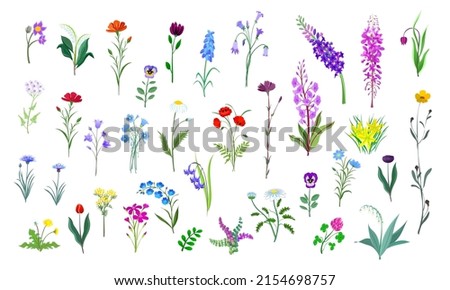 A large set of various colorful wild flowers in isolated on a white background.