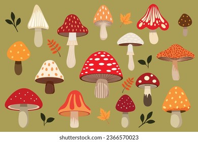 large set of vector mushrooms and vector leaves as a gift, vector autumn elements